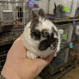 Meet your Posher, Becca